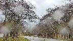 takano2-20250425110030.jpg