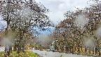 takano2-20250425111029.jpg
