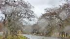 takano2-20250425120029.jpg
