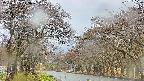 takano2-20250425123030.jpg