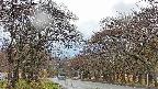 takano2-20250425125030.jpg