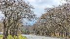 takano2-20250425130031.jpg