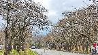takano2-20250425131029.jpg