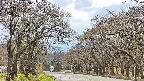 takano2-20250425133030.jpg