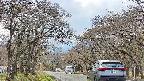 takano2-20250425134030.jpg