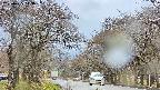 takano2-20250425143031.jpg