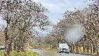 takano2-20250425144029.jpg