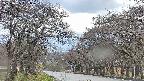 takano2-20250425151030.jpg