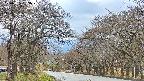 takano2-20250425153029.jpg