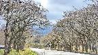 takano2-20250425154030.jpg