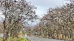 takano2-20250425163030.jpg
