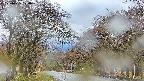 takano2-20250425170030.jpg