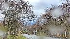 takano2-20250425171030.jpg