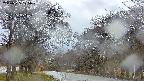 takano2-20250425175030.jpg