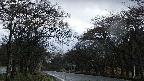 takano2-20250425184030.jpg