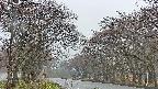 takano2-20250426052029.jpg