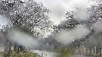 takano2-20250426053029.jpg