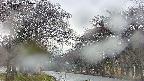 takano2-20250426055030.jpg