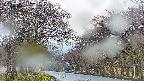 takano2-20250426061030.jpg