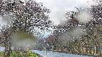 takano2-20250426063031.jpg