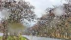 takano2-20250426064030.jpg