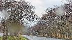 takano2-20250426065030.jpg