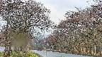 takano2-20250426070031.jpg