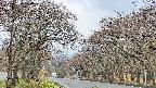 takano2-20250426074029.jpg