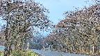 takano2-20250426075031.jpg