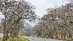 takano2-20250426082030.jpg