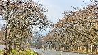 takano2-20250426084030.jpg