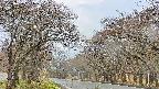 takano2-20250426091030.jpg