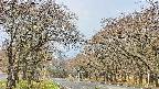 takano2-20250426094031.jpg