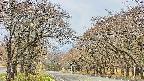 takano2-20250426095030.jpg