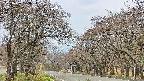 takano2-20250426103032.jpg