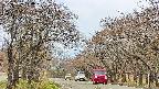 takano2-20250426104030.jpg