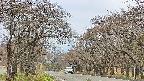 takano2-20250426105029.jpg