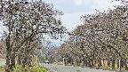 takano2-20250426110029.jpg