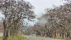 takano2-20250426111031.jpg