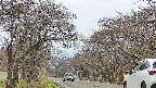 takano2-20250426112030.jpg