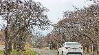 takano2-20250426113031.jpg