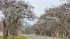 takano2-20250426115030.jpg