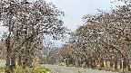 takano2-20250426120030.jpg