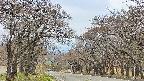 takano2-20250426122030.jpg