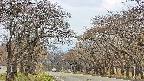 takano2-20250426123030.jpg