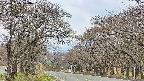 takano2-20250426124031.jpg