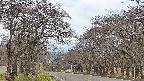 takano2-20250426125030.jpg