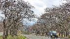 takano2-20250426130031.jpg