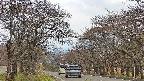 takano2-20250426131030.jpg