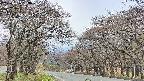 takano2-20250426133030.jpg